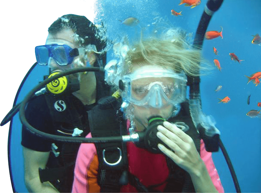 image14.png